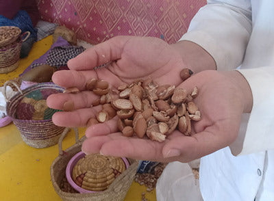 Argan nuts